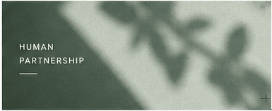 Human partnership artwork with soft green light and shadow